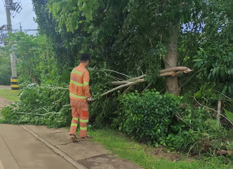 云顶国际yd888(中国)有限公司官网