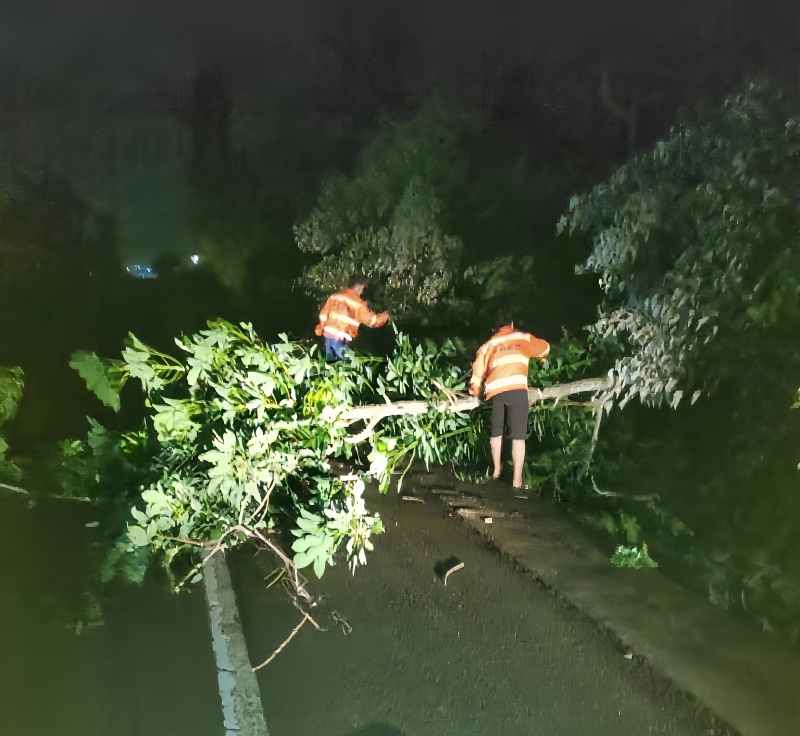 云顶国际yd888(中国)有限公司官网